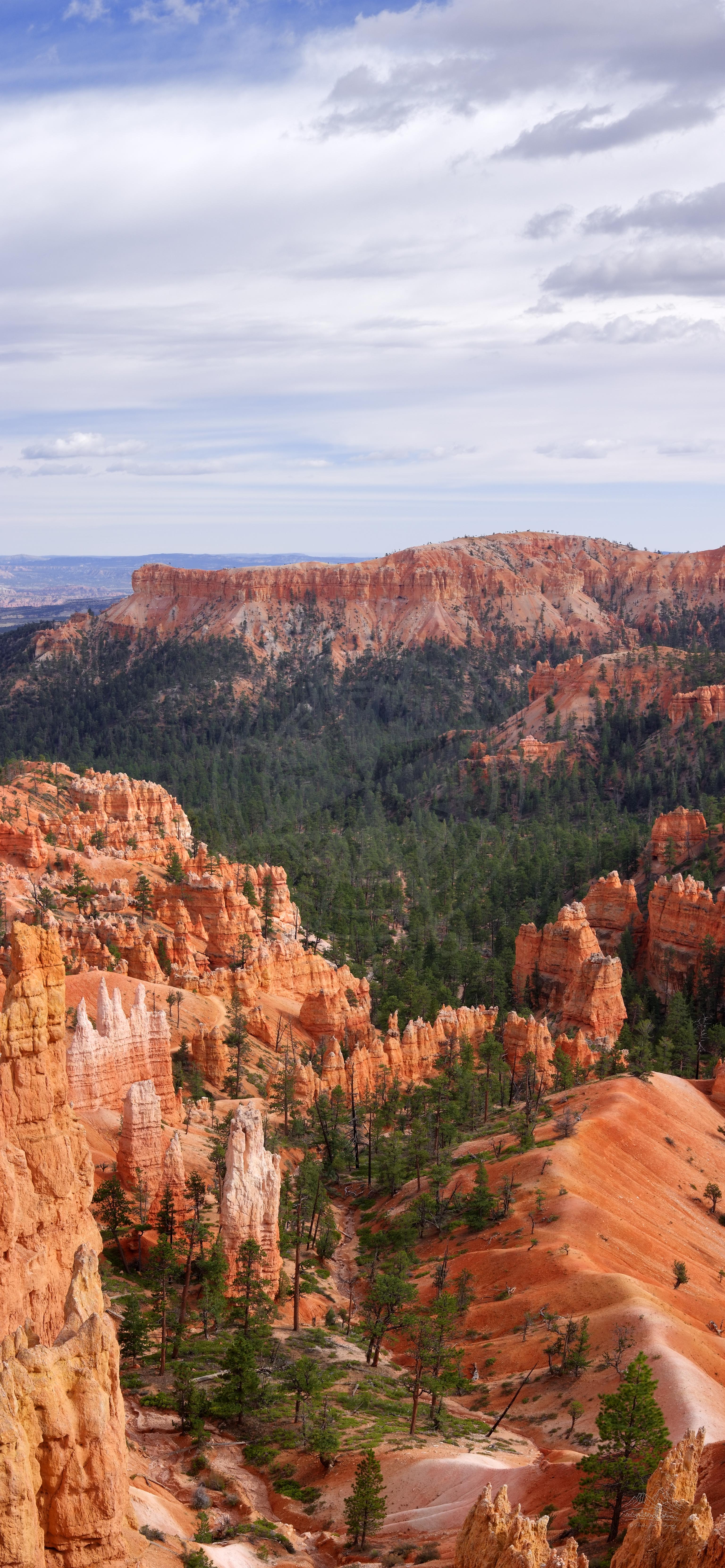 Panoramische Herbstlandschaft am Rim Trail, Bryce Canyon Sunrise Point