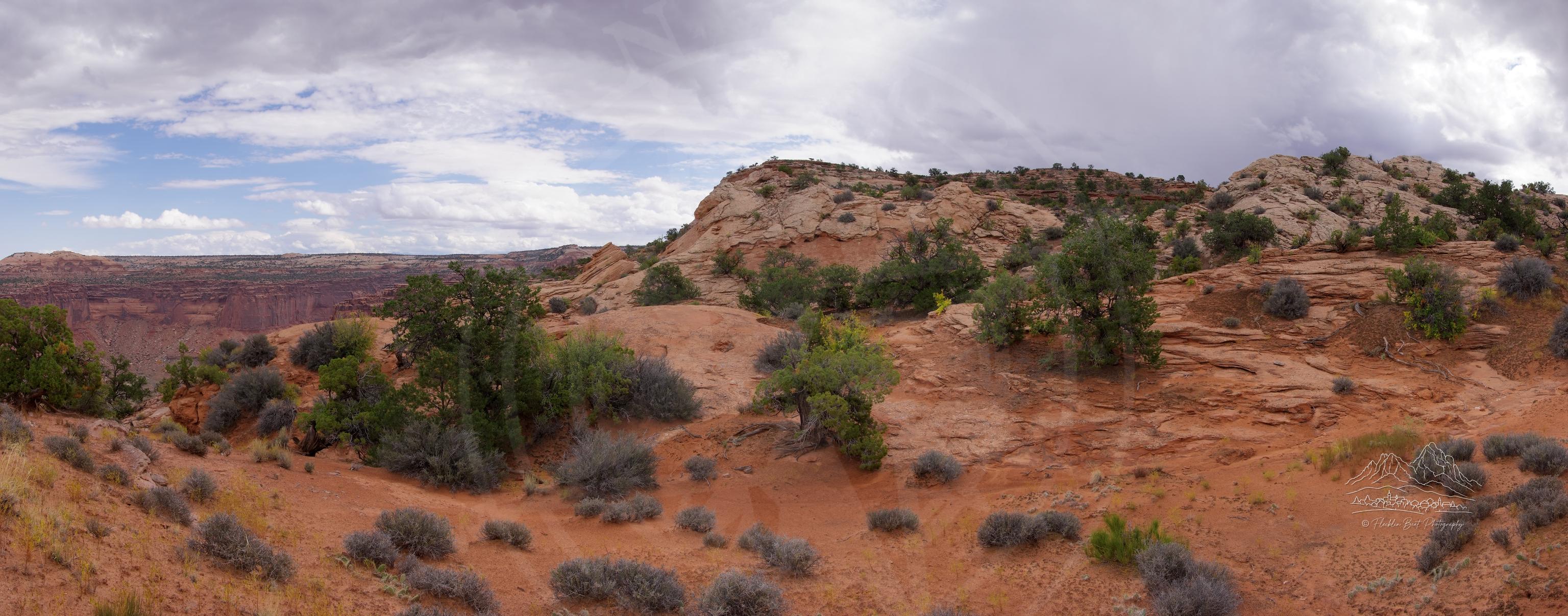 Panoramische Herbstlandschaft am Alcove Spring Trail, Utah