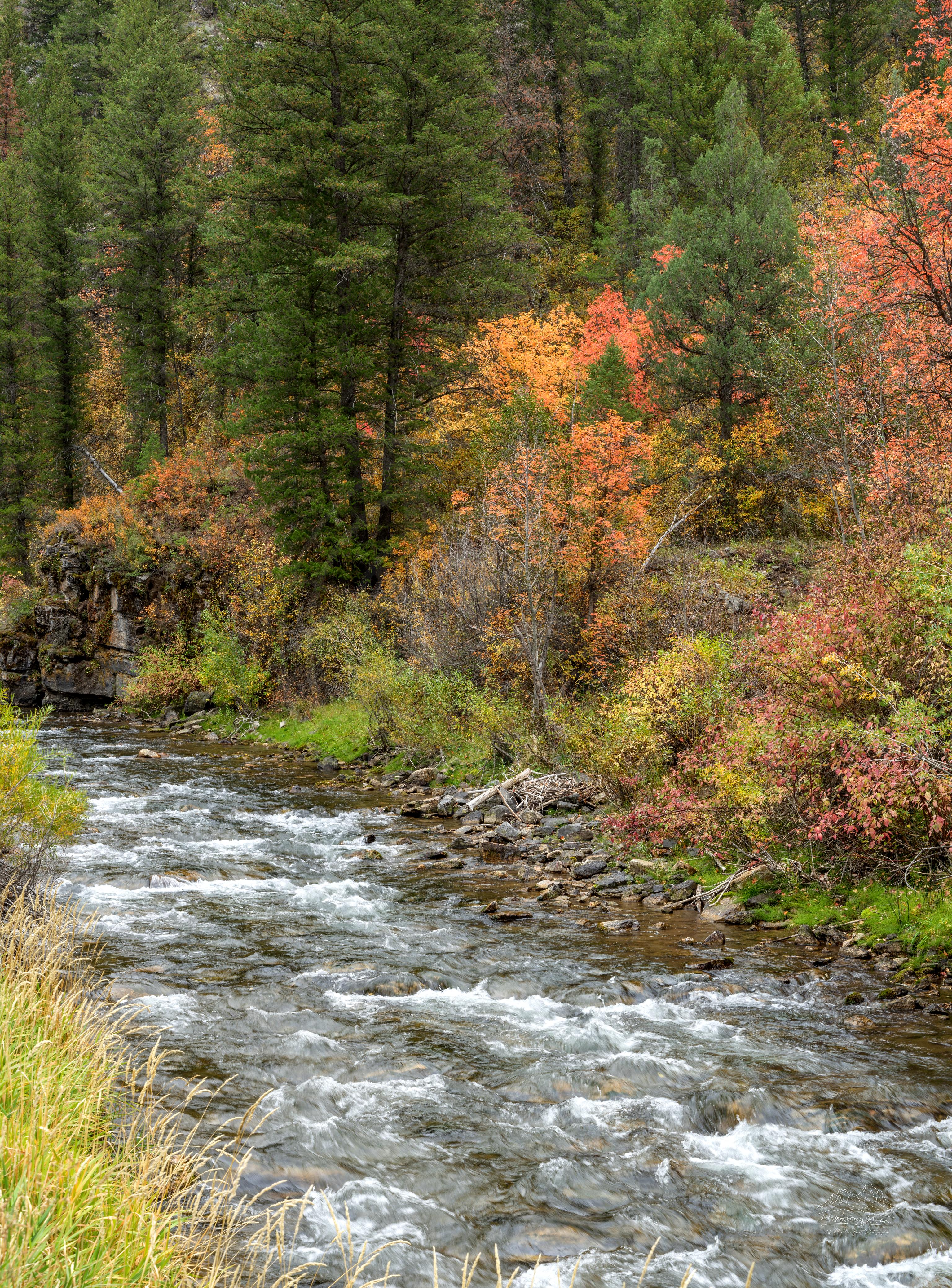 Paesaggio panoramico autunnale di Chicken Creek vicino a US 89, Utah