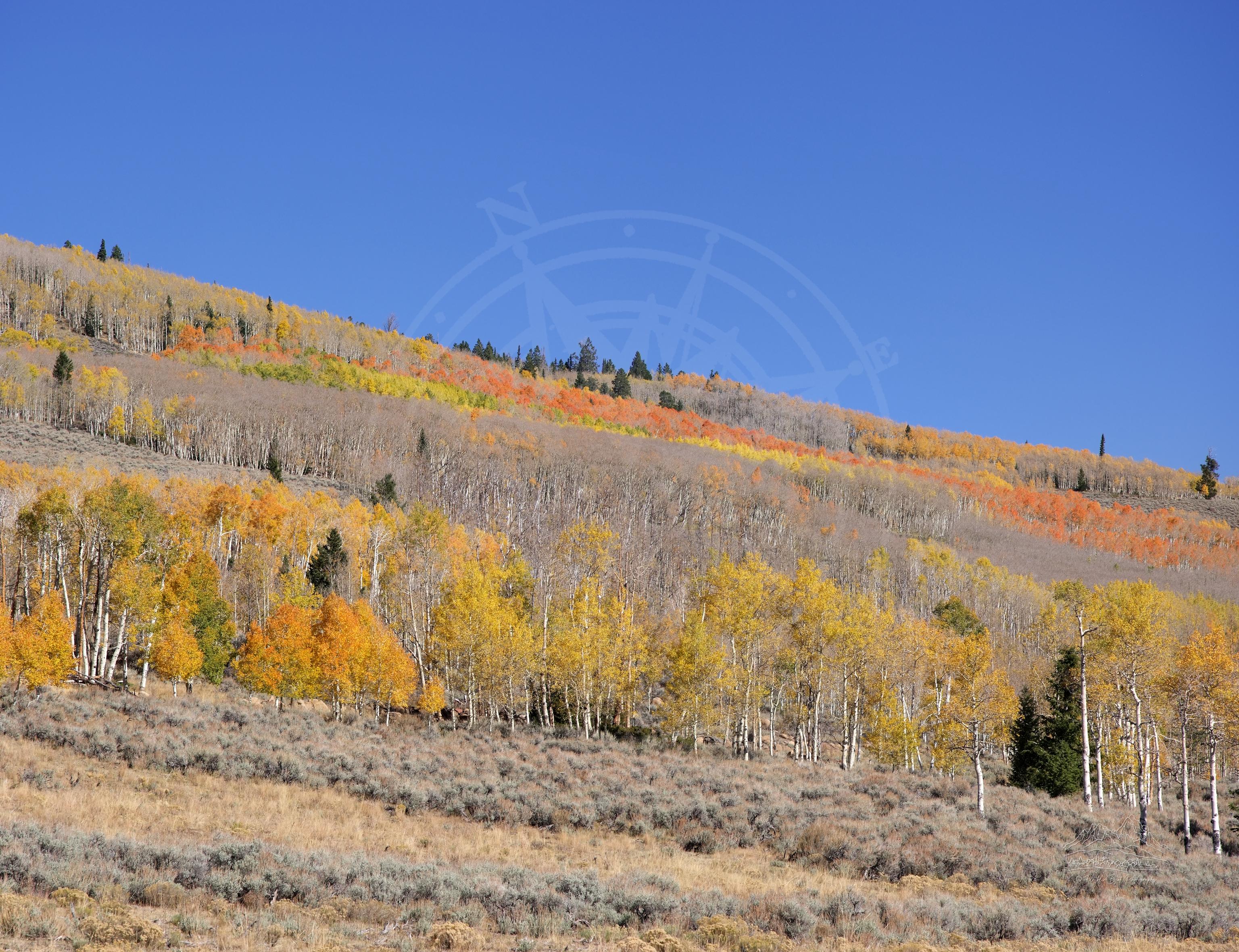 Herbst-Panorama der Fishlake Scenic Byway bei Lakeside Resort Utah