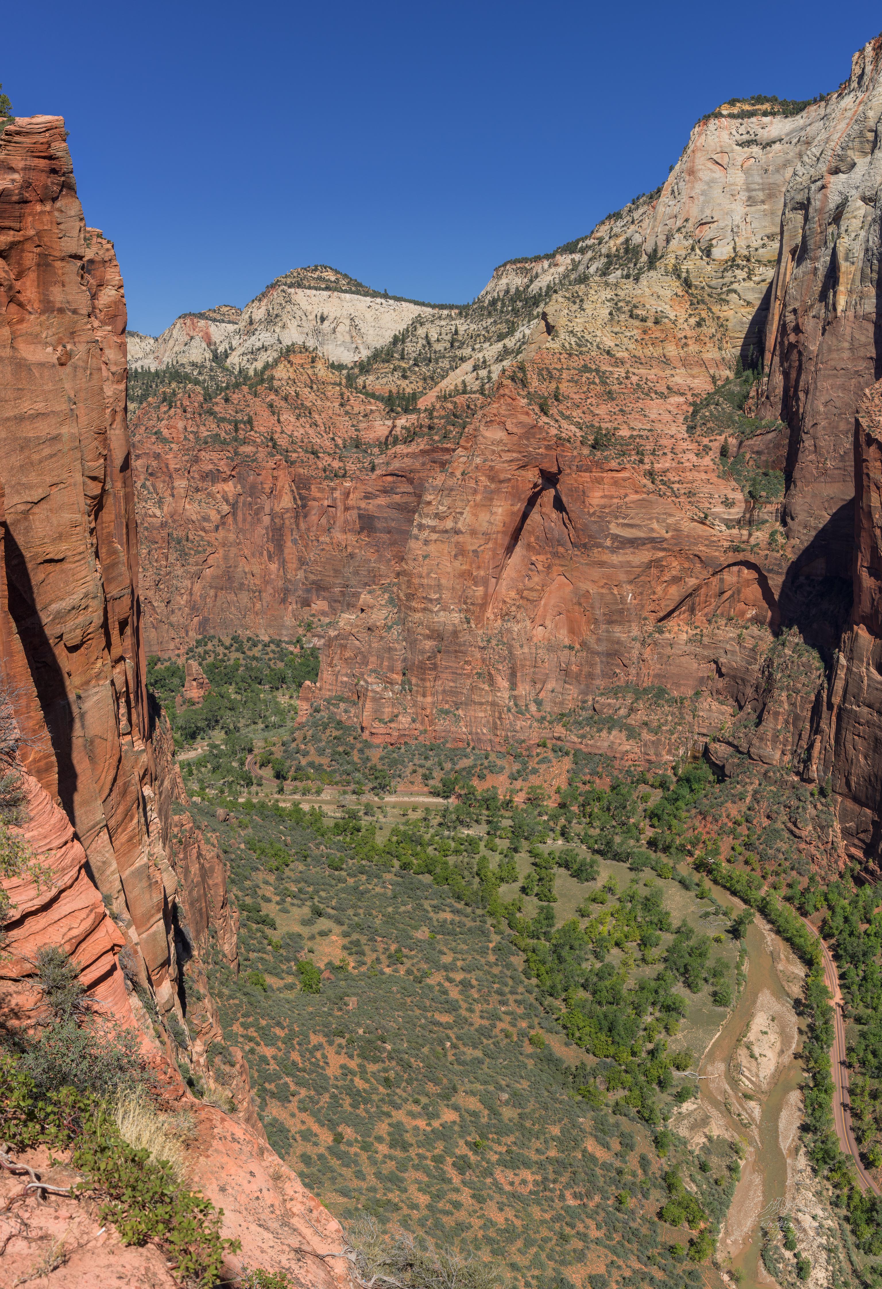 Vista Panoramica Autunnale dal Sentiero Angels Landing nel Parco Nazionale di Zion, Utah