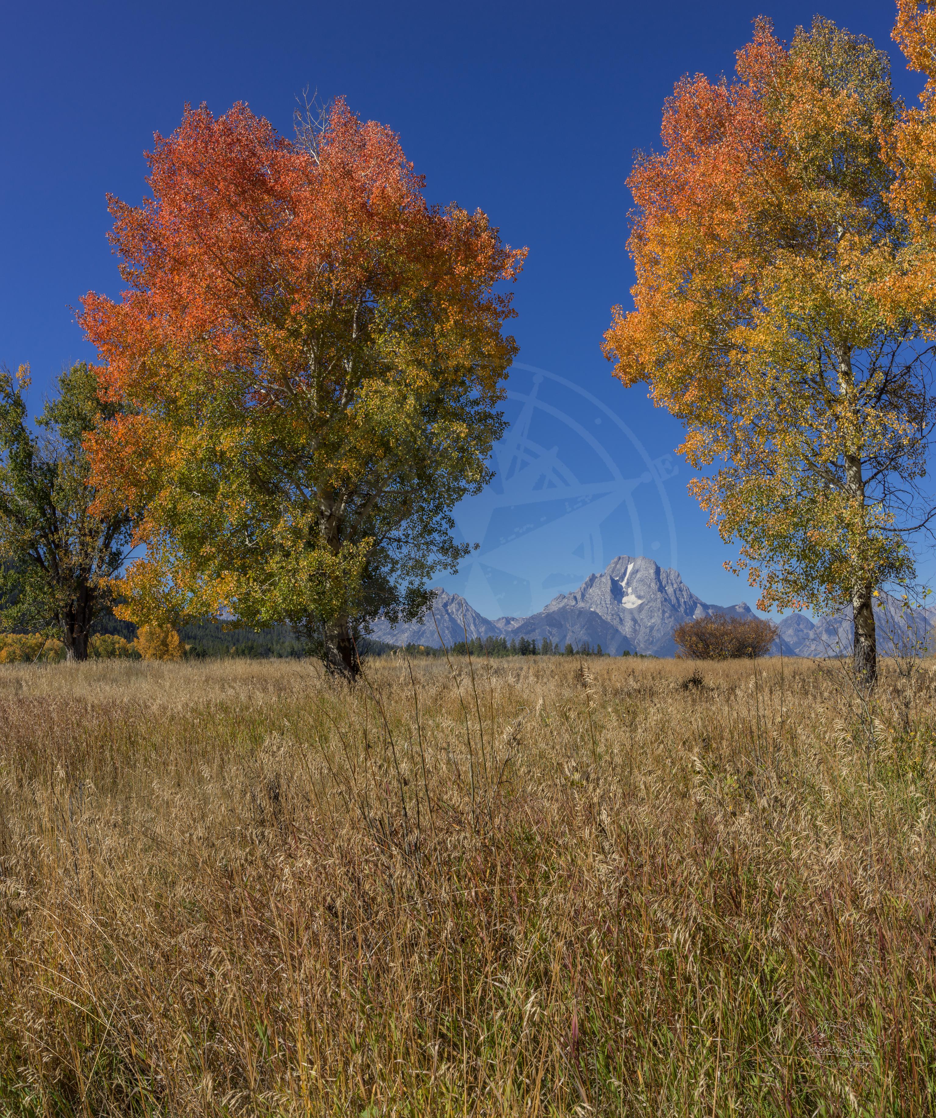 Veduta panoramica autunnale di Oxbow Bend vicino a Cattleman's Bridge Road Wyoming