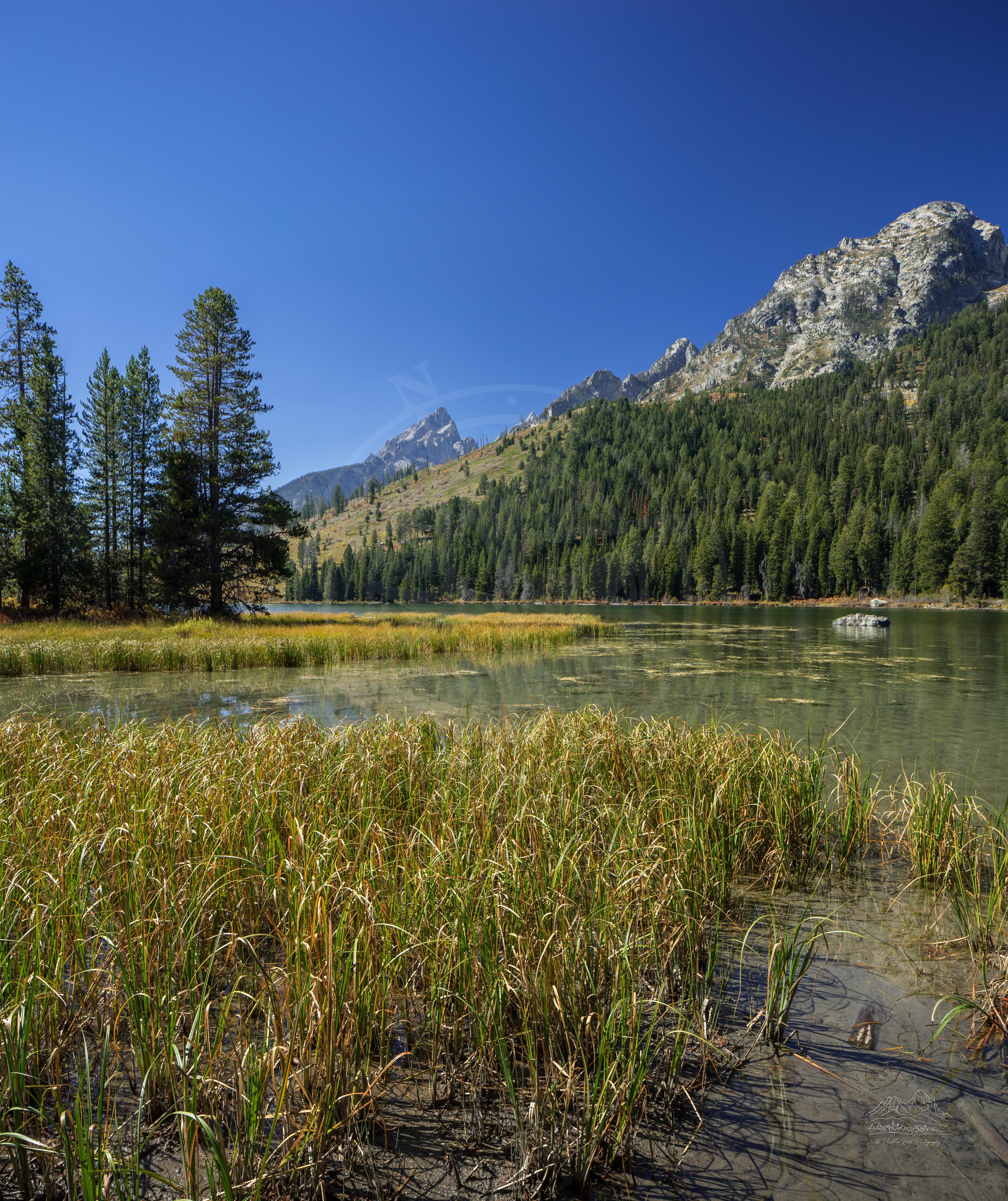 Vista Panoramica Autunnale del String Lake e Montagne Teton Wyoming