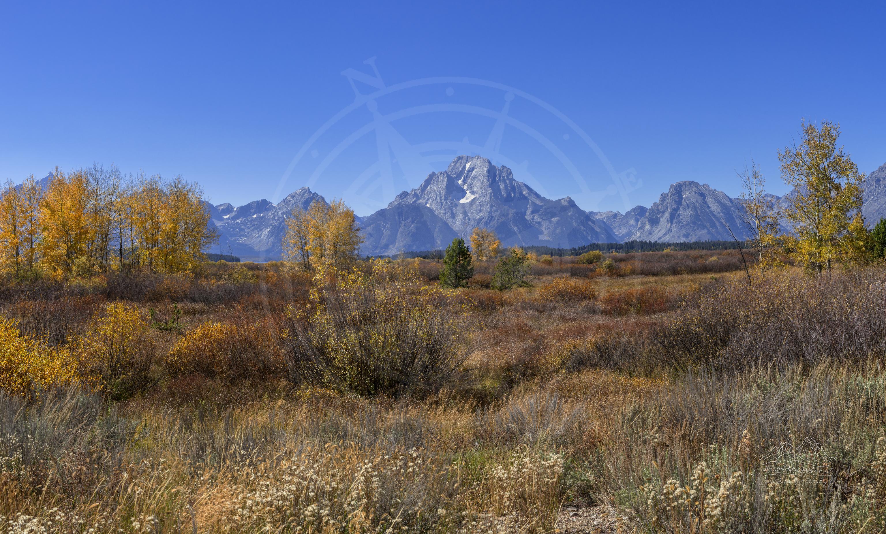 Veduta Panoramica Autunnale del Willow Flats Trail, Grand Teton, Wyoming