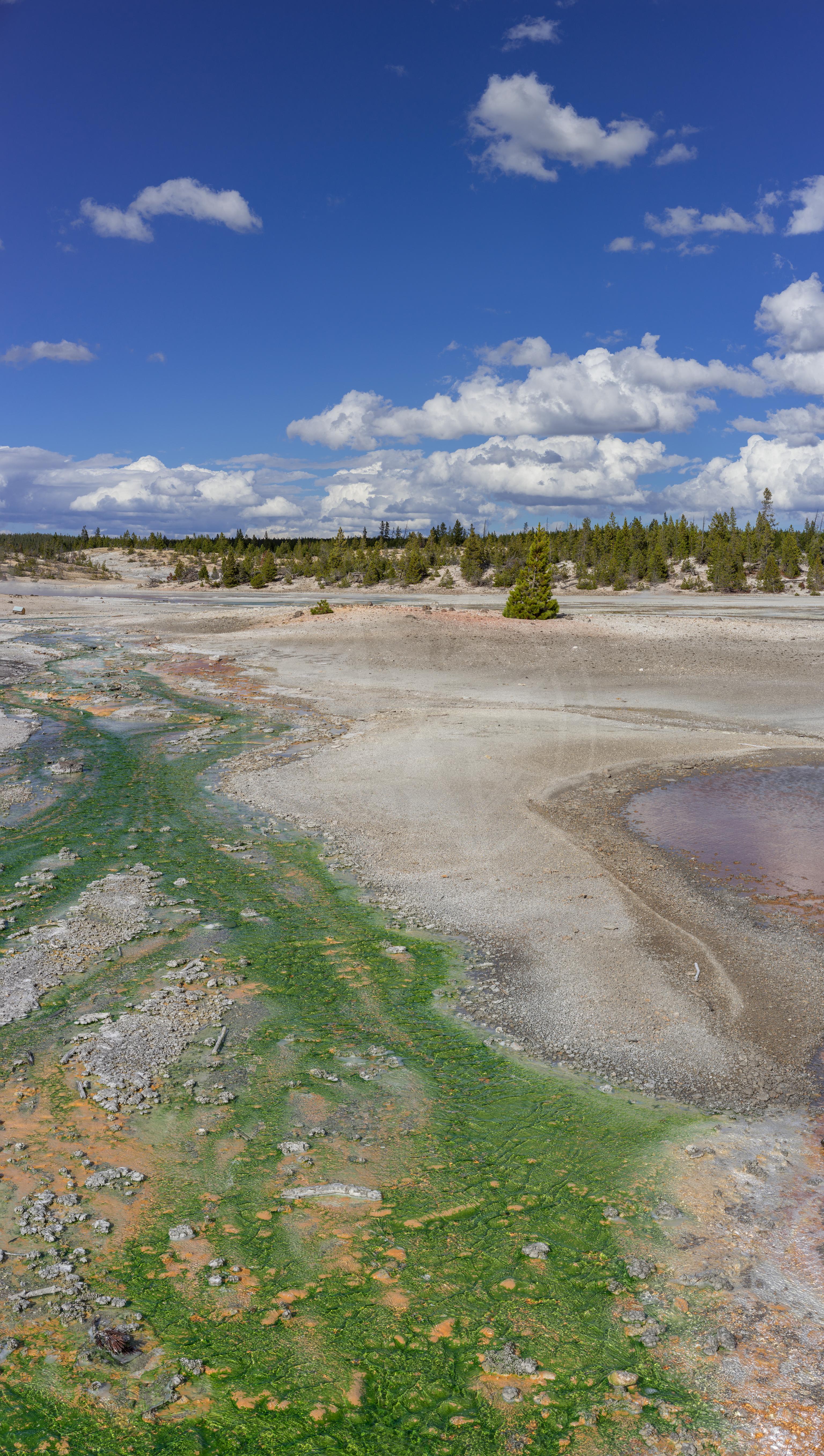 Panorama autunnale del Whirligig Geyser nel Norris Geyser Basin
